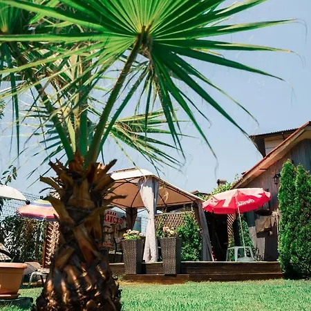 калисто Шалета