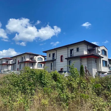 Шалета калисто *