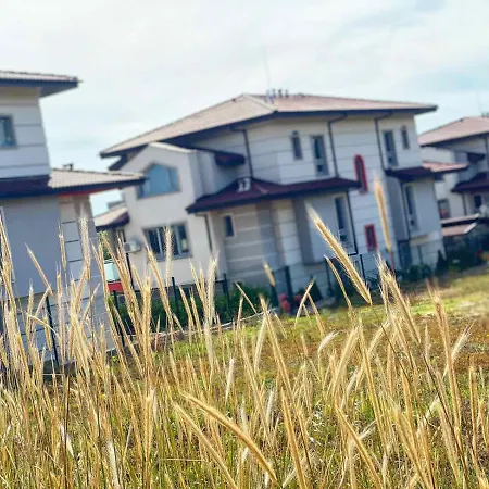 калисто * Арапя