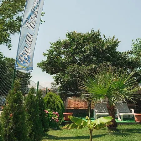 Шалета калисто Арапя