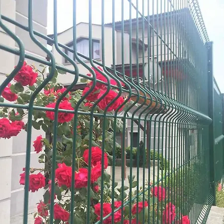 Шалета калисто *