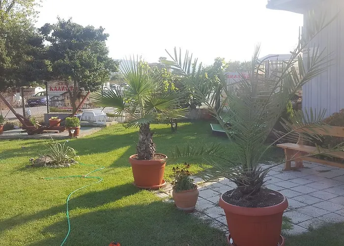 калисто Арапя