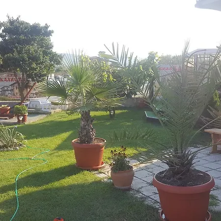 Calisto أرابيا