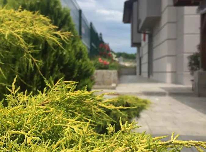 Calisto Chalet Arapya